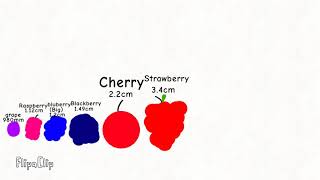 Fruit size comparison/Shorts