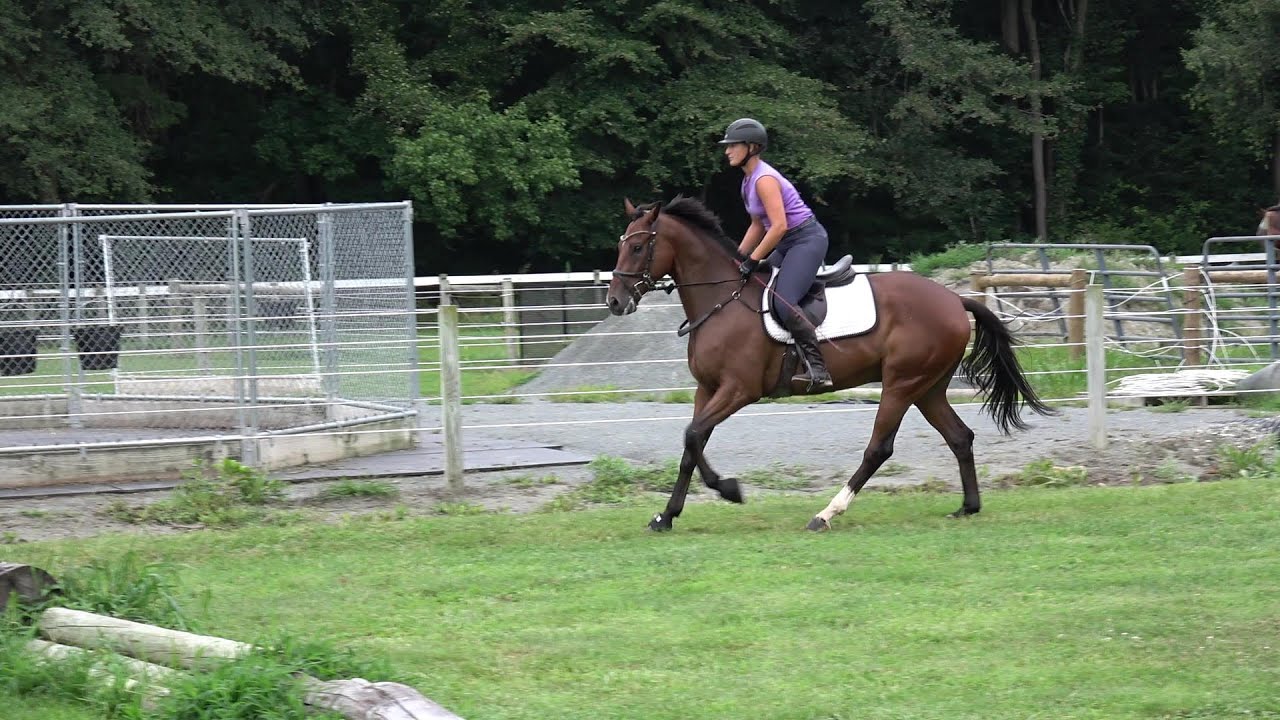 nappy horse ride 5 8 7 23 YouTube