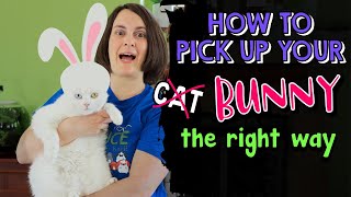 How to Pick Up & Carry a Bunny! 🐇🥕