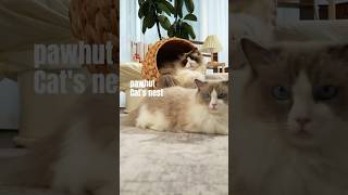 Cat Parents Whats The One Thing Your Cat Actually Uses pawhut  cattok  catlife  catbed