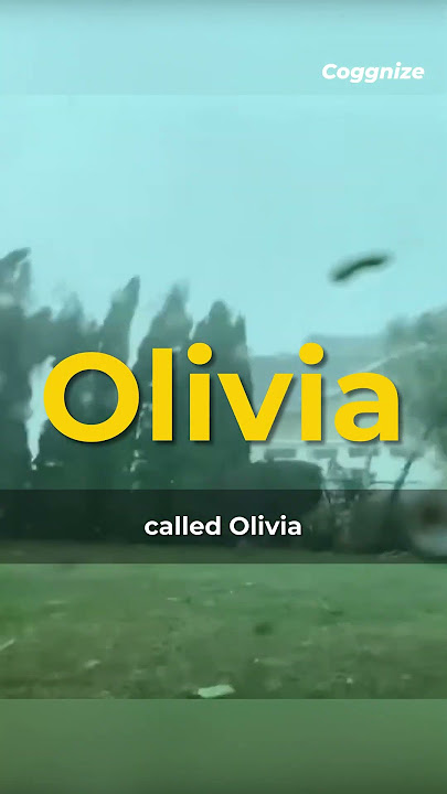 The fastest gust of wind ever recorded on Earth #shorts