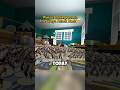 Greys Attack Back 🤯 in ​⁠@PlasticBattlegrounds #plasticbattlegrounds #gamer #vr #military