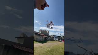 Pipa gigante #pipacombate #pipas #pipagigante #pipasrio