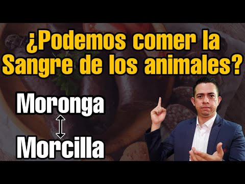 La Biblia y la alimentación: ¿Dónde prohíbe consumir sangre? - Video