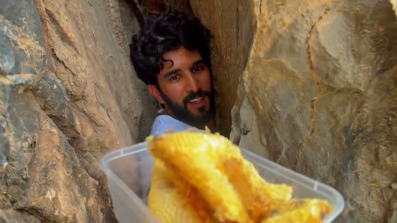 استخراج العسل في جبال سلطنة عُمان