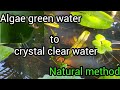 How to remove algae from aquarium tank  malayalam  unique traveller  guppy tank care  nature way