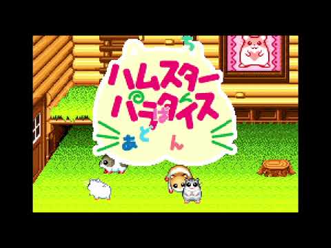 ハムスターパラダイスあどばんちゅ Amazon | ハムスターパラダイスあどばんちゅ | ゲームソフト