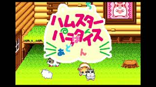 ハムスターパラダイスあどばんちゅ - YouTube