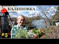 БОЛЬШАЯ работа в КАЛИНОВКЕ / Высадка баклажанов, лука, пастернака, картофеля, гладиолусов и т.д.