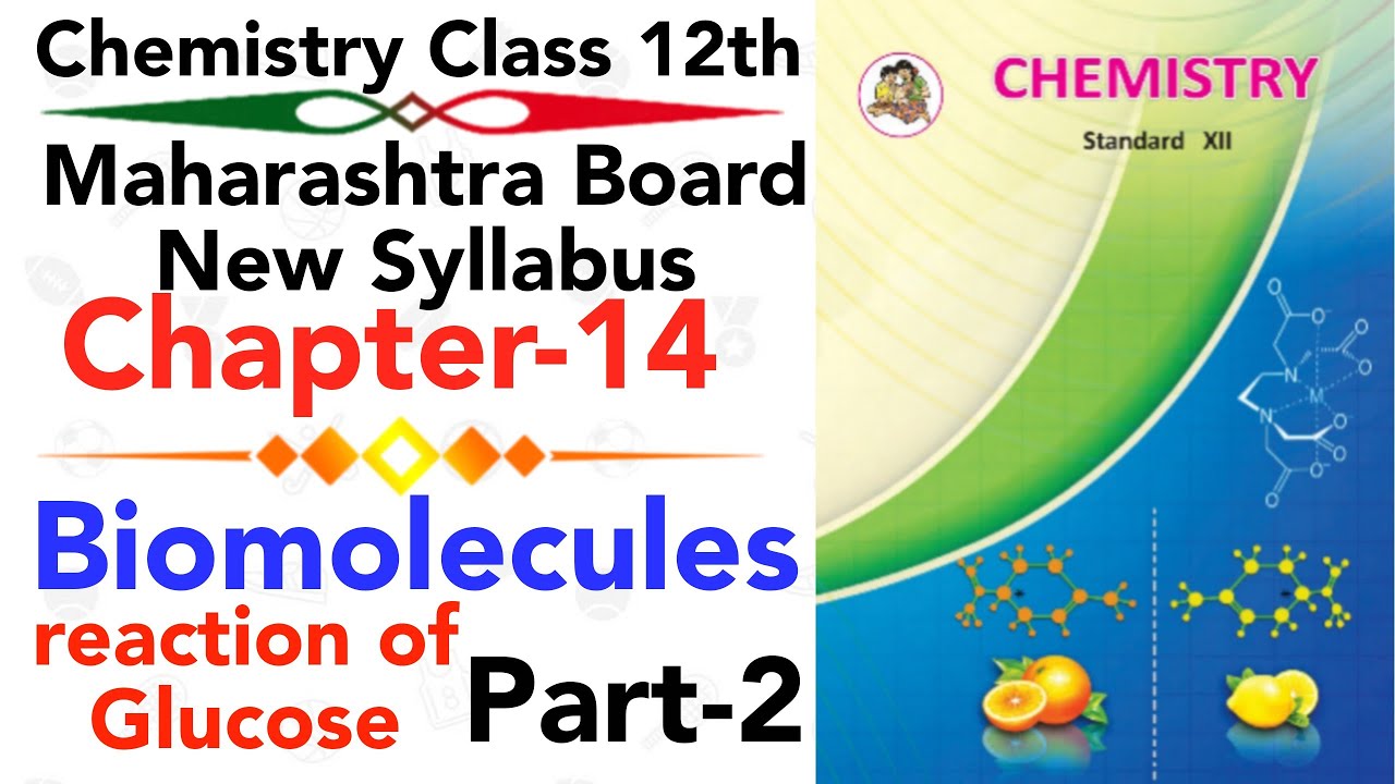 part2 ch14 Biomolecules chemistry class 12 science preparation and