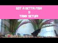 VLOG|| Bought a Betta fish + Petco Tank setup