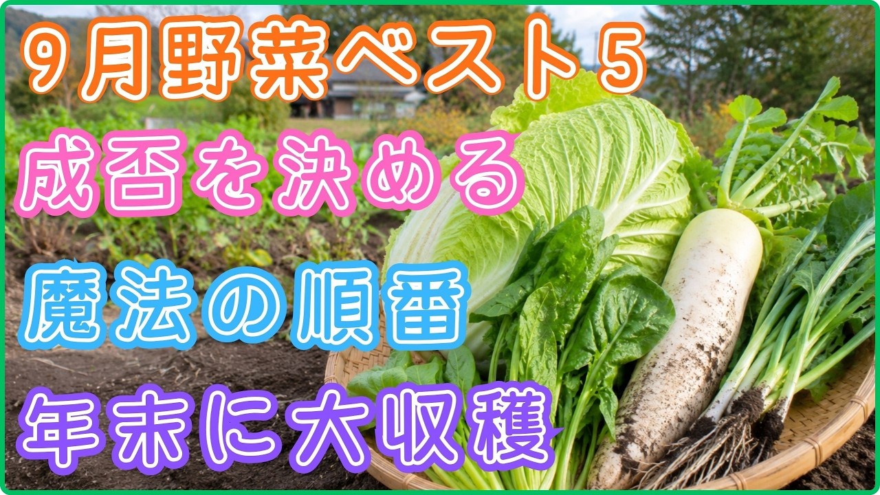 Success for Beginners】Top 5 Vegetables to Plant in September and