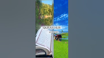 سوره حجر، آیه ۸۷ تا ۸۸ #قرآن #اسلام
