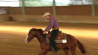 Wimpy Secret Snap 2012 AQHA Gelding showed by Lukas Brucek