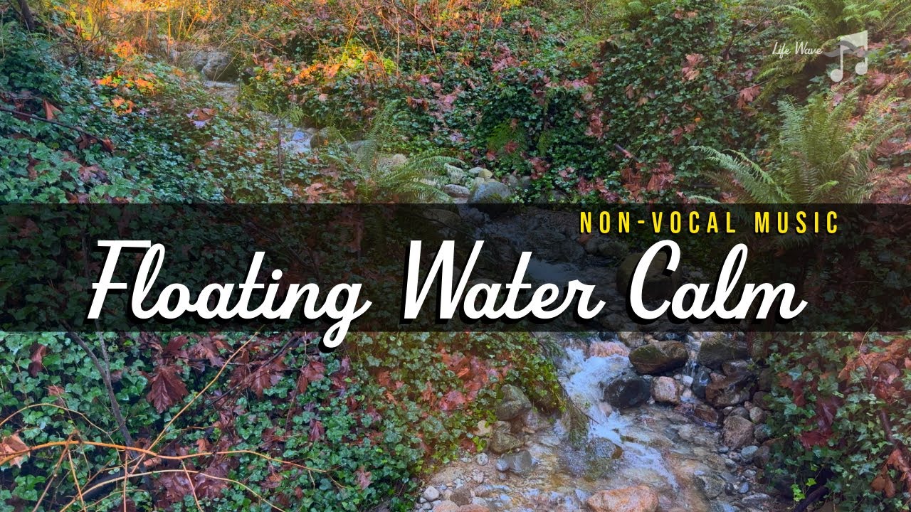 Floating Water Calm 💧 30 Min Warm Piano + Stream Sounds (60–66 BPM)