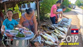 ปลาน้ำโขงสดๆ ตลาดข้างทาง เมืองท่าแขก เที่ยวลาว 2019