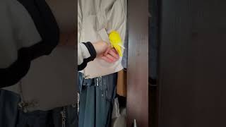 Bird Getting Cozy Inside Hanging Jacket’s Pocket