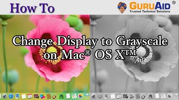 How to Change Display to Grayscale on Mac® OS X™ - GuruAid