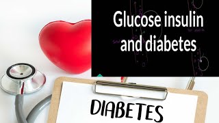 What Is Glucagon Roles Side Effects And How It Works With Insulin