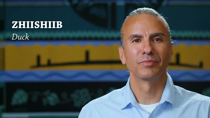 Zhiishiib = Duck (Ojibwe Word of the Day)