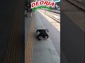 Deoria railway station 📍 #deoria #shorts #shortsfeed #short #viral #explore #youtubeshorts ##gym