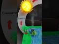Working Model of Water Cycle #scienceexhibition #sciencproject #science #watercycle #waterharvesting
