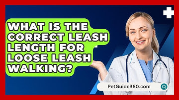 What Is The Correct Leash Length For Loose Leash Walking? - PetGuide360.com