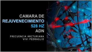 CELLULAR REJUVENATION CAMERA 🧬 528 HZ | DNA 👽 ARCTURIAN HEALING CHAMBER | Vivi Pedraglio screenshot 1
