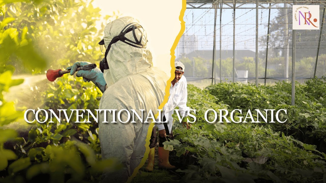 Organic vs Conventional Farming What It Means for Your Health - YouTube