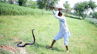 A Man Killed A Snake The Snke Followed Him Then The Jogis Came And Rescued Him Naag Jogi