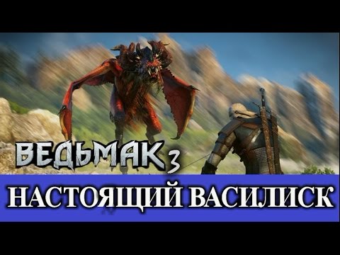 Ведьмак 3. Самый настоящий василиск (все варианты). Оксенфурт