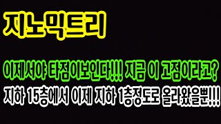 [지노믹트리 주가전망]이제서야 슬슬 타점이 잡히네요