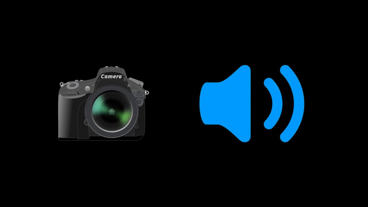 Camera Shutter Sound Effects (HD) Free Sound Pack No Copyright