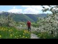 FJORDS Norway - Views from Hardanger.