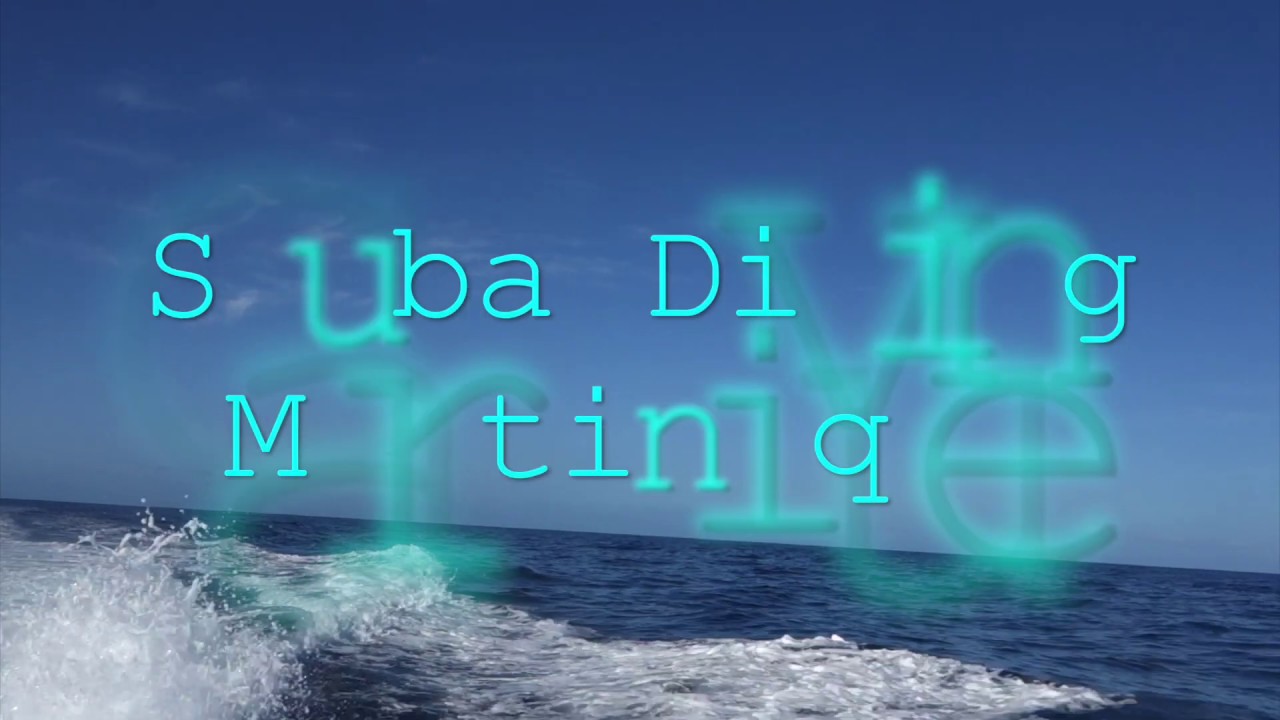 Martinique scuba diving at 0 18m / 60ft YouTube