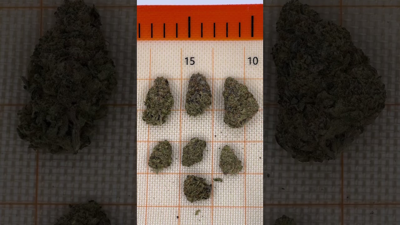 Cracking open some Landslide