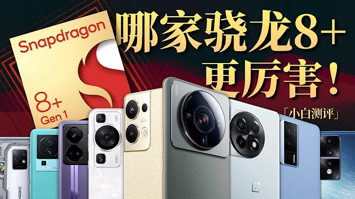 「小白」实测170条数据！哪家手机骁龙8+调校最好？ - 天天要闻