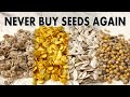 The trick to saving seeds for next year  cucumber tomato  pepper seed harvest