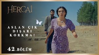 Büyük Öfkenin Sonucu - Hercai 42.Bölüm