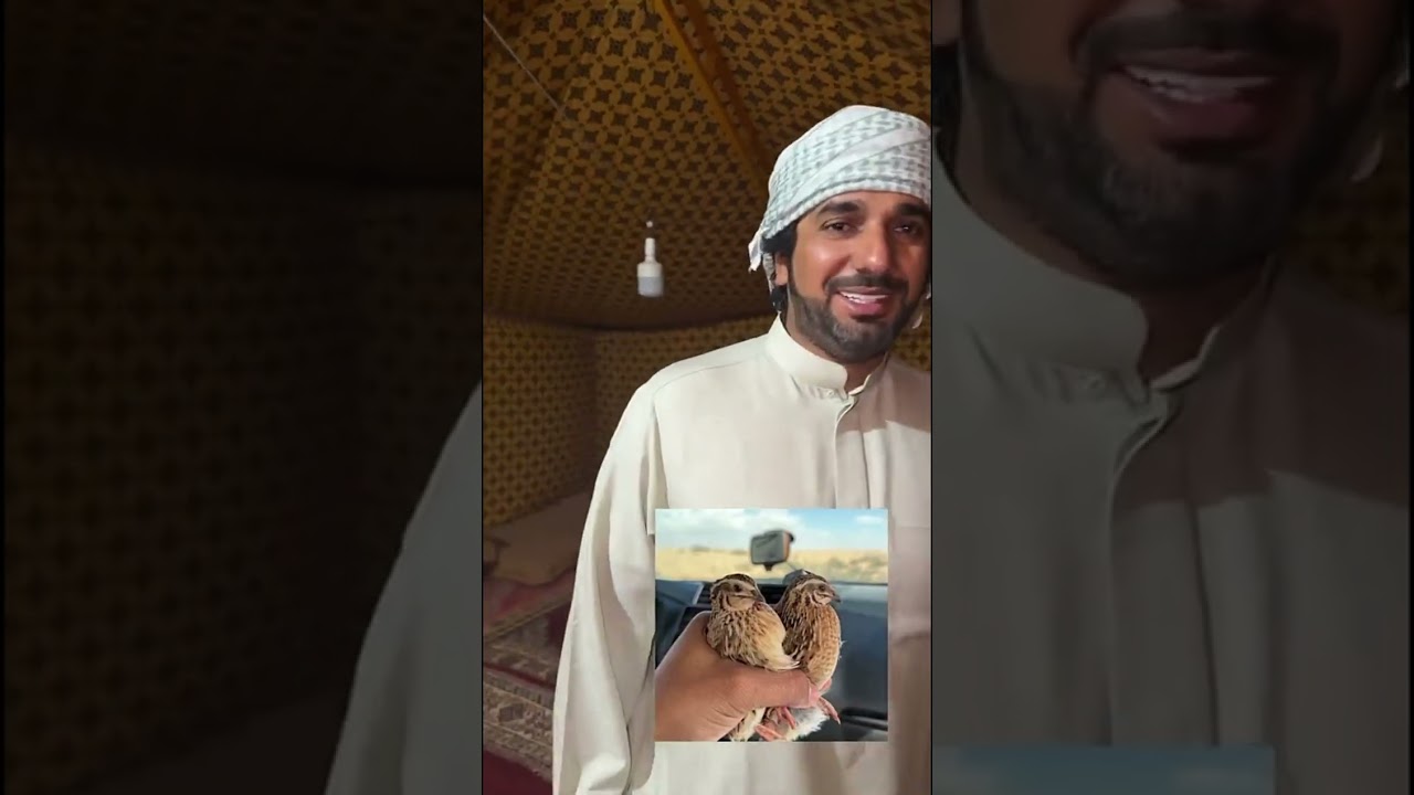 سنابات بن شنه : انصدم خوينا 😂