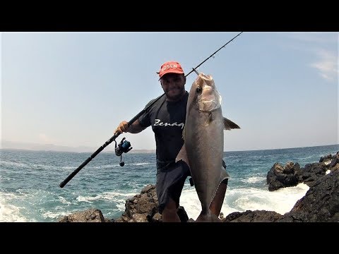 HS: Amberjack in a very hard place! Feat ZENAQ MUTHOS SONIO 100M