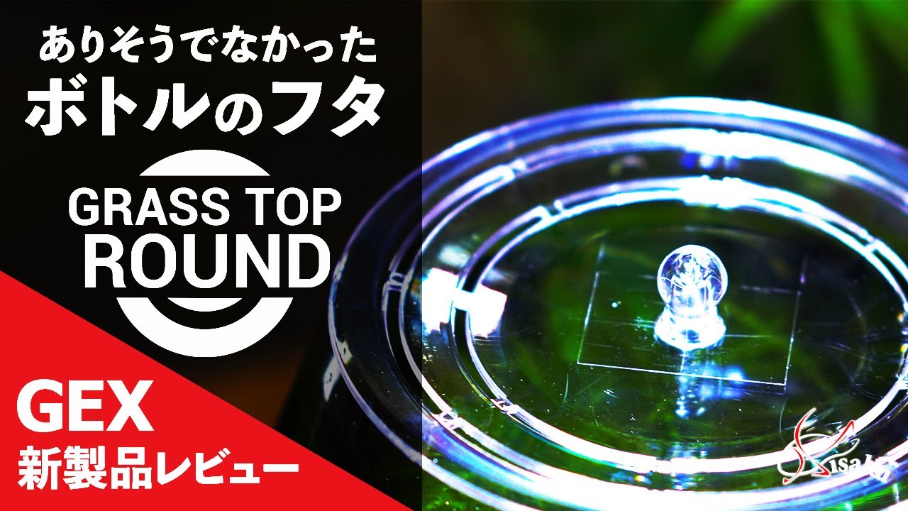 Glasstop Round ついにボトルアクアリウムのフタを商品化 奇麗に切り出すコツも紹介 Gex22年新製品徹底レビュー アクアリウム Gex グラストップラウンド Youtube Glasstop Round ついにボトルアクアリウムのフタを商品化 奇麗に切り出すコツも紹介 Gex22年新製品徹底レビュー アクアリウム Gex グラストップラウンド Youtube