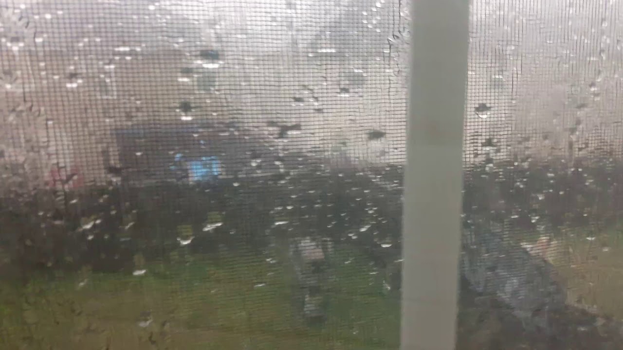 It's raining hard - YouTube