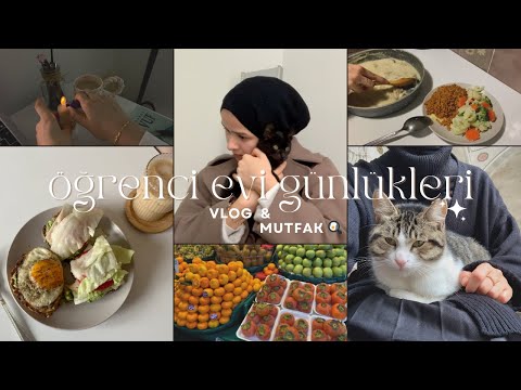 öğrenci evi günlükleri | sakin anlar, mekanlar ve günler