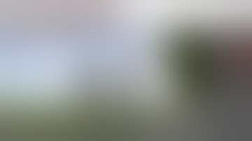 Third Party Interventions