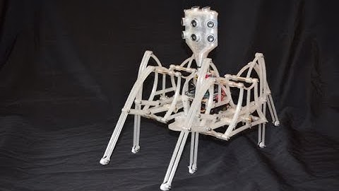 Klann Mechanism Robot