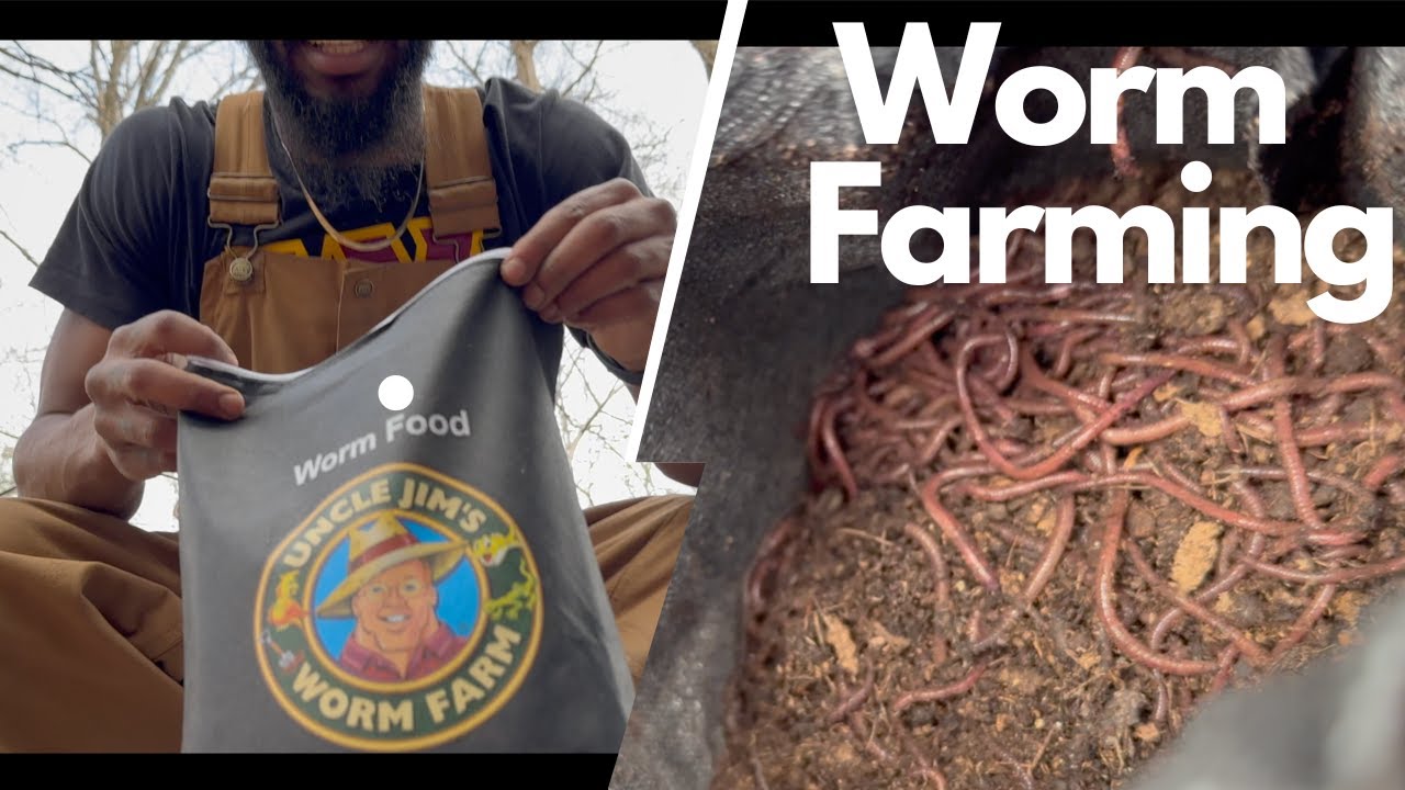 Starting a Worm Farm in 2023 Vlog YouTube