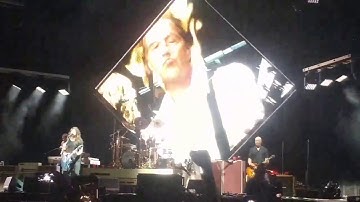 Foo Fighters (feat. Krist Novoselic) - Molly