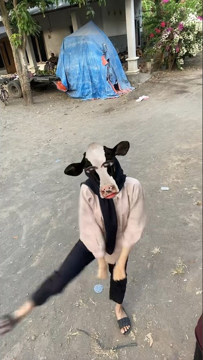 Joget Sapi imut lucu 🐮 #shorts
