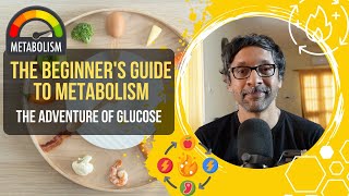 The Beginners Guide To Metabolism